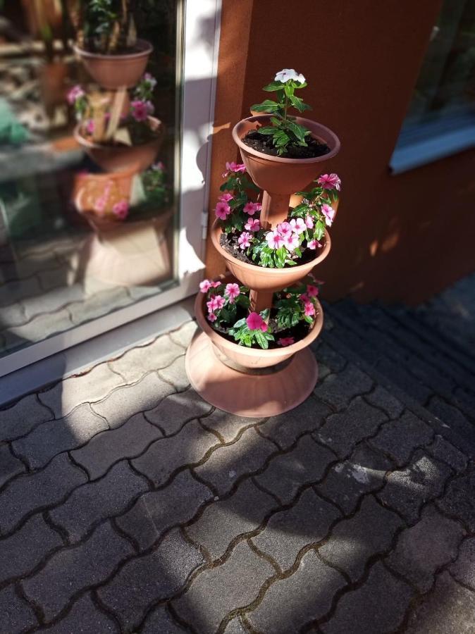 Pergola Panzio Hotel Balatonföldvár Buitenkant foto